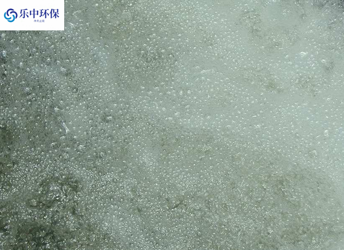 溶氣氣浮機(jī)泡沫多什么原因？如何解決？